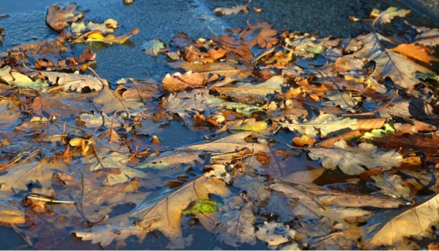 ������� ��������� ����� ������� �����