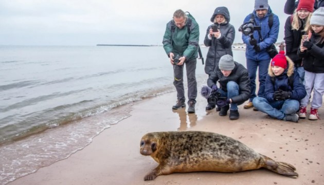 ��������� ��������, �������� ������ ������, ��������� � ���������� ����