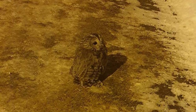 ����� ������ ����� ��������� � �����?