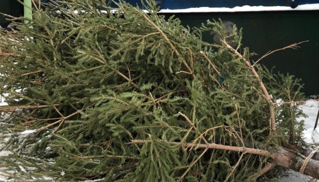 ������ ���������� �������������� ���������� ���� �� �������