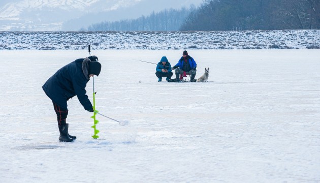 �� ��� ����� ���������? ���������� ���������!