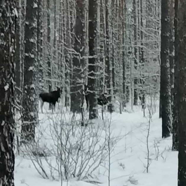 � �������� ���������: ���� � �������