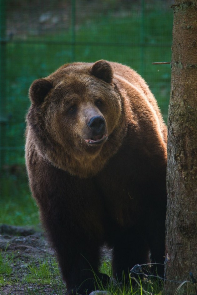 ���������� ������ ������� ������������� �� ����� � �����������, ���������� � ���� 