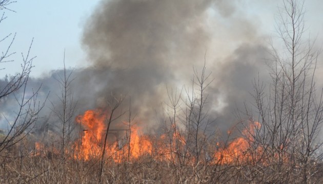Зарегистрировано первое в этом году возгорание старника 