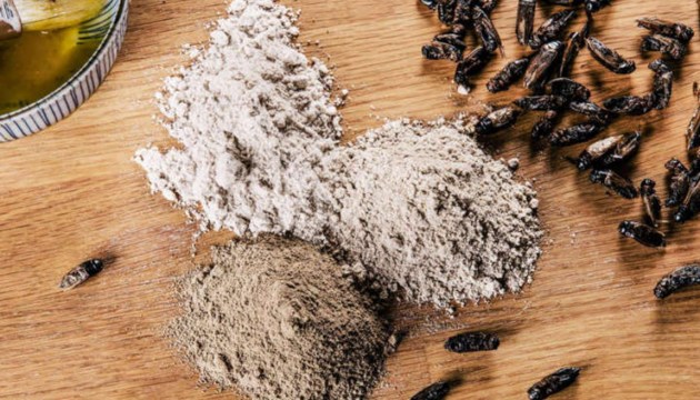 ��������: ��������� ���������� ������� ����� �� �����