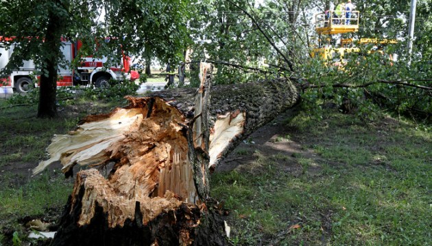 Синоптики: в Латвии ожидаются разрушительные ураганы