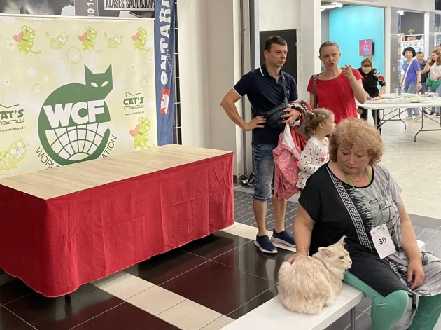 � �� Ditton ������ 6-� ������������� �������� ����� (+����)