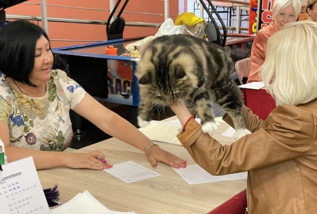 � �� Ditton ������ 6-� ������������� �������� ����� (+����)