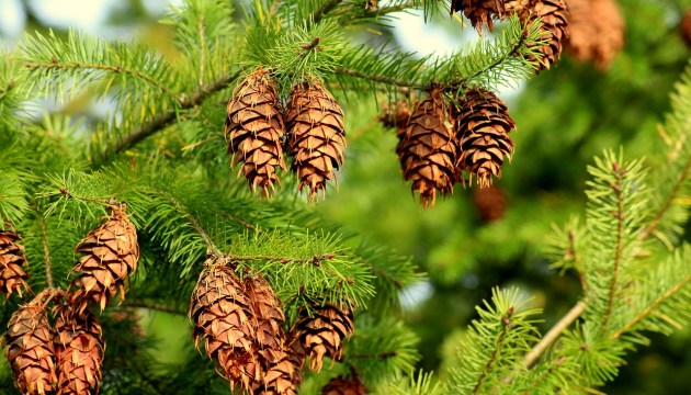 � ��������� ���� �������� ����� �� ��� �����. ��� ������?