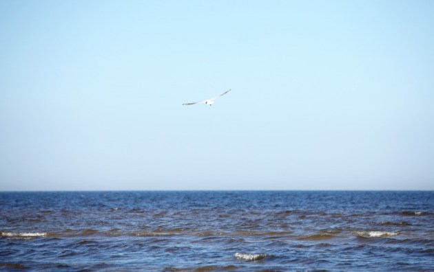 ������� ��������: ����� �������� ������ �������� � ����� �� �������