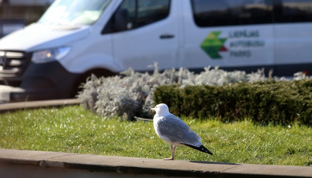 ���������� ��������� ����� � ����� ��������� �������� ��������� � �������