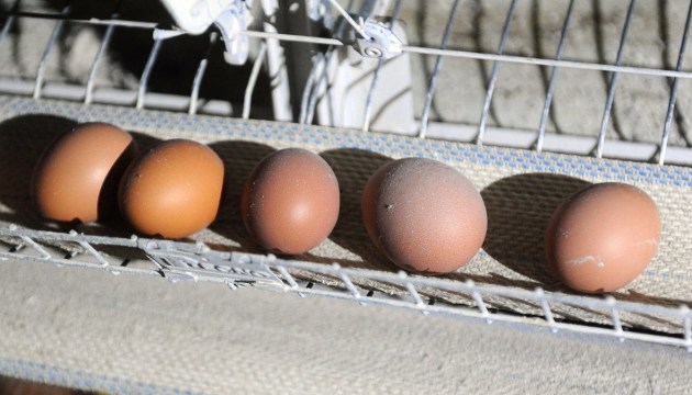 ���������� ��������� ������ ���������� ���