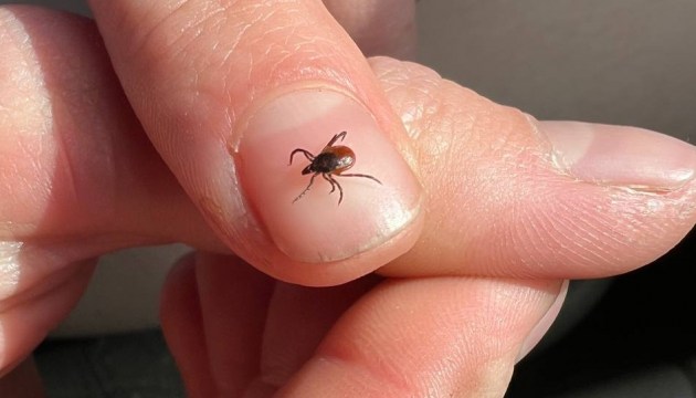 � �������� � �������� ����� 19 ������