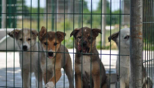 � ������ ������� �������� ������������������� � ��������� ��������� ��������