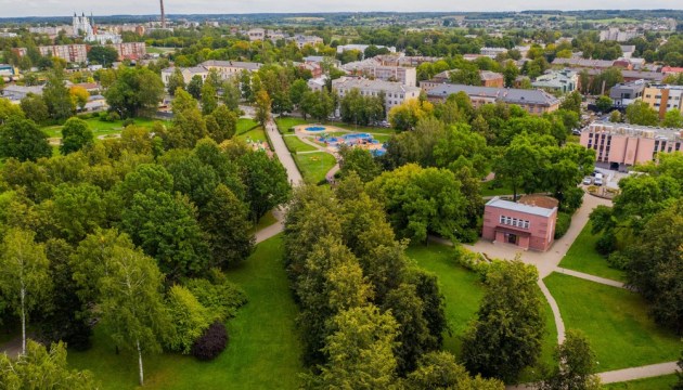 При реконструкции Центрального парка деревья не пострадают