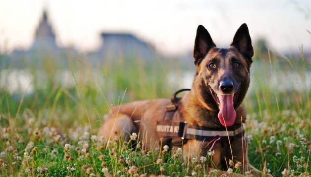 � ������� �������� �������������� �����