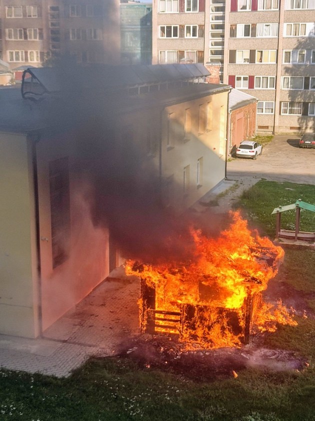 ����� � ������ ������� ���� Pīlādzis (+�����)