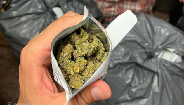 Полцентнера марихуаны спрятали в грузе с сухофруктами