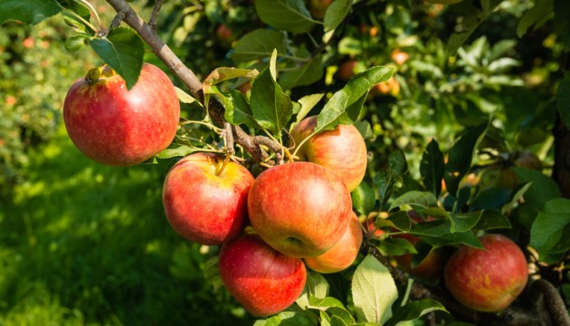 ����� 10 �������� � ����� � ������� �������� �������� � ������