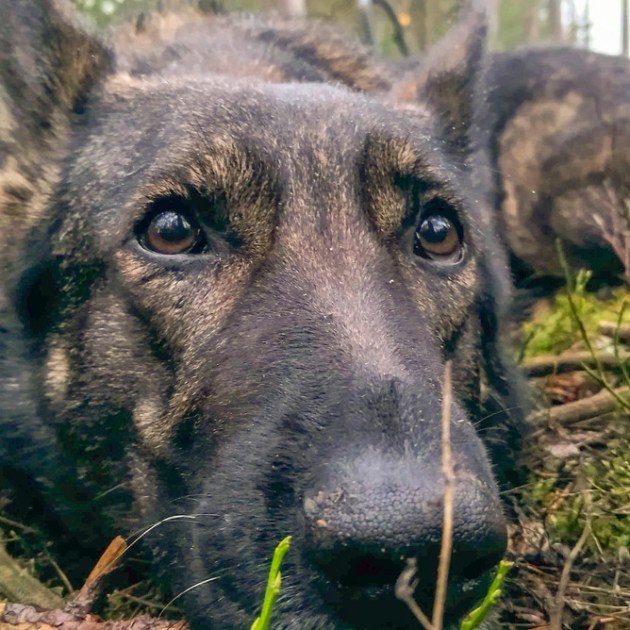 ������ ����� � ��������� ���������� �������