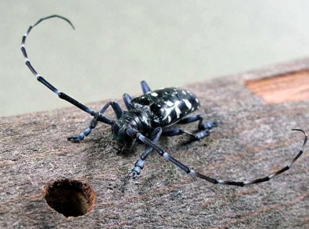 ����� �������� �� �����: ���� ���� ����������� ���������!�