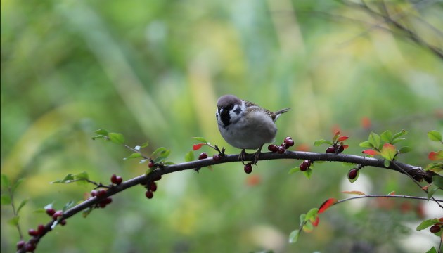 ����� ���������� ����� ��������� ����� ���������� ������