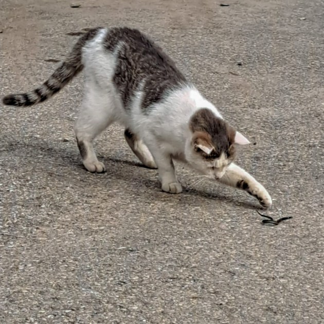     ?