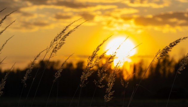 ����������� ���� ����� ����� ������ 13 �������� � ������� ���������������