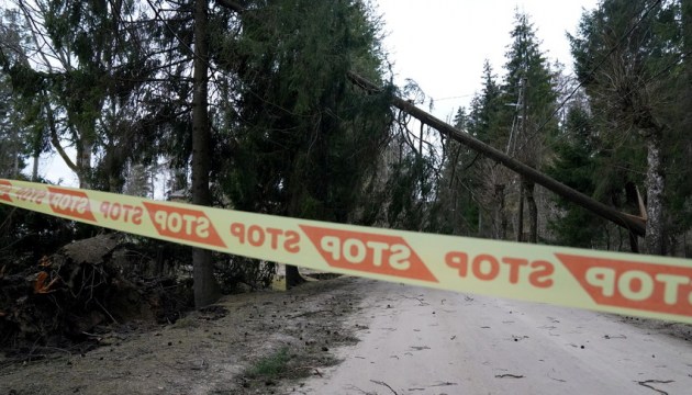 В выходные дни в Латвии ожидается разрушительный ветер
