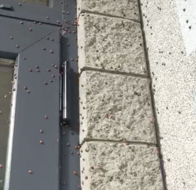 � �������� � ��������� ������ �������. ���� ���� ������� ����