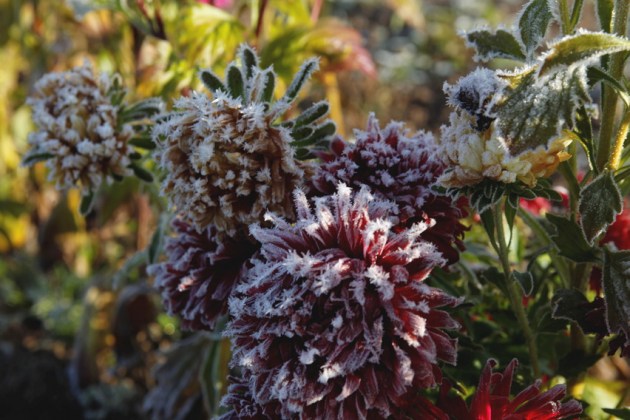 ������� �� �������: ��������� ����� � ����