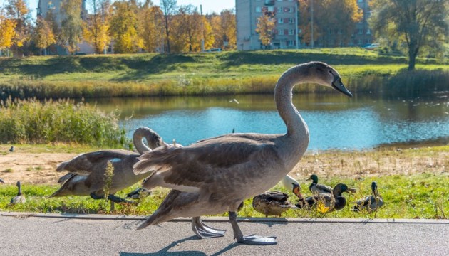 ������������� ����� � �����������, ������ ���� � ������� ����!