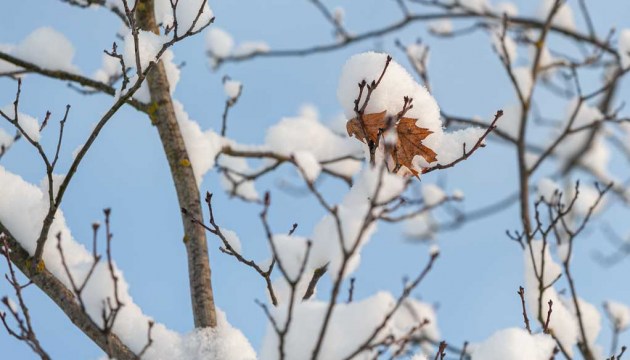 ������� �������� ������� � ����������� ���� �������� 8 ��