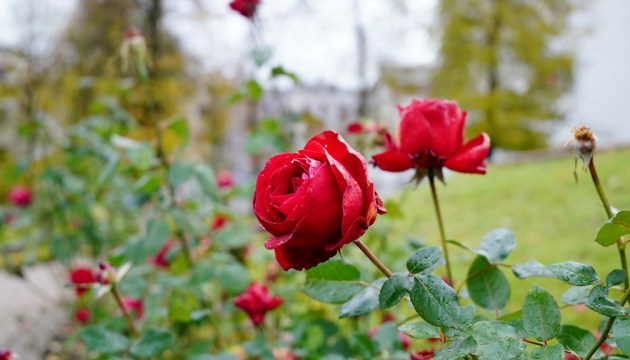 ����� ������ 11 ������������� ��������