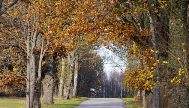 ������� ����� ������ ������� ����