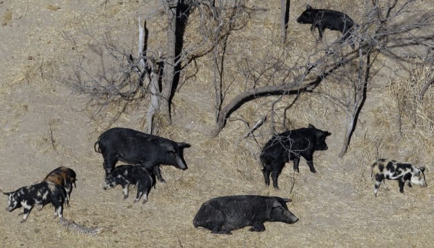 ����, ����� �������! ��� �������� ��������� ���������� ��������� �����������