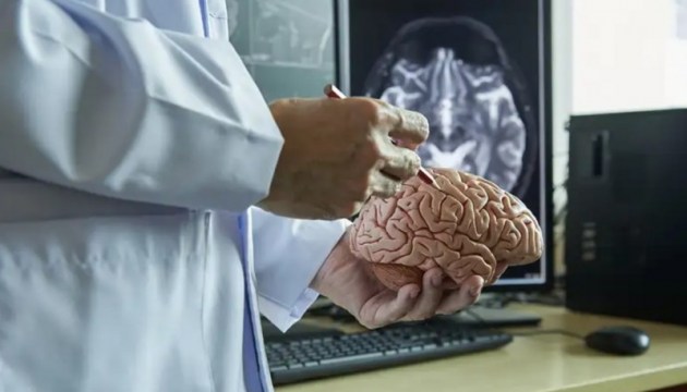 Тупой и еще тупее: усушка мозга как приговор человечеству