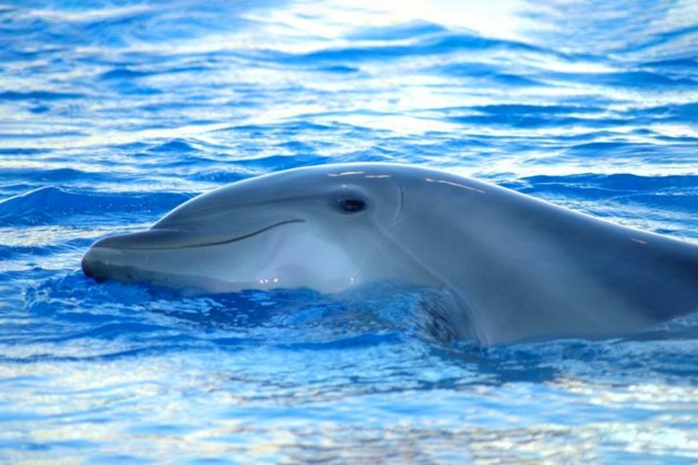 ���������: ������ �������� ���� ��������� � ������ ��, ��� ���� ����� � �������������