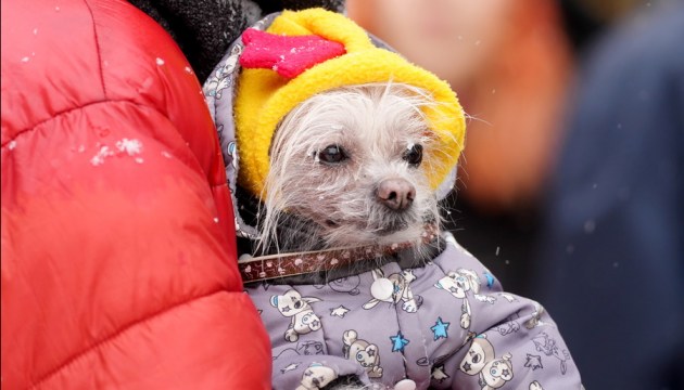 ���������: � ������ ������ ���� ���������� �� -20