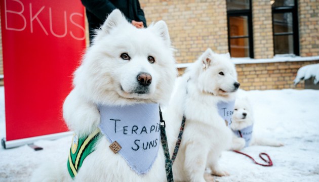 ��������� ������� �������� �������� �������������� ���������� ��������� ������