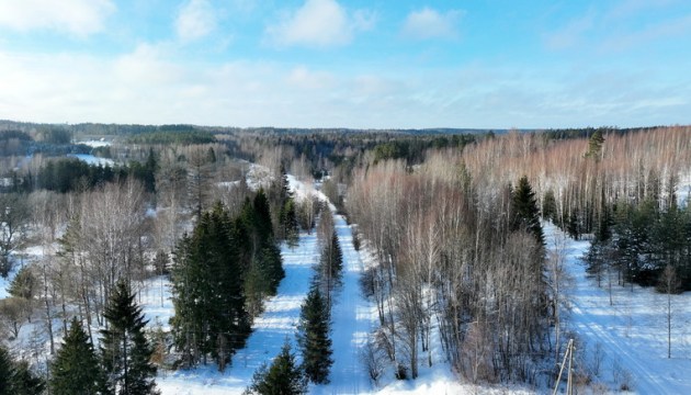 ��������� ���� ������� ������ �� �������