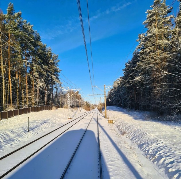 �������, �����������, � �����, ���������?