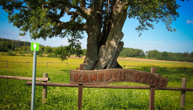 �������� ��� ���! �������� ����������� �� ������ ���� � ������