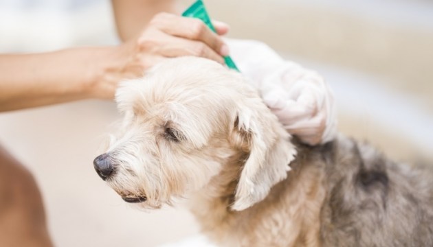 ��� ���������! � ������ ���������� �����