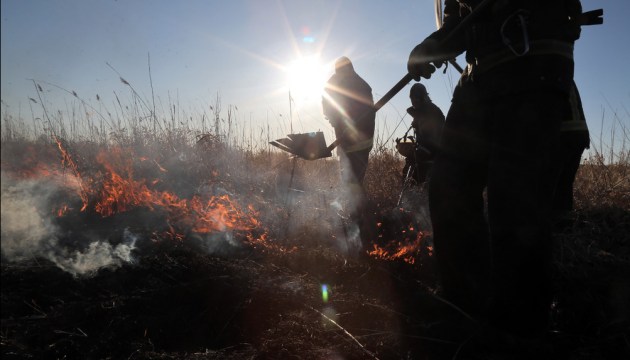 �� ���� ����� � ����������� ��������� 5 �������