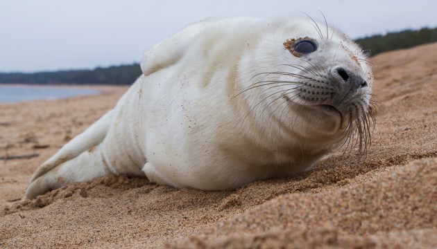 �� ������� ��������� ������ ������ � ���� ���� ������� ������