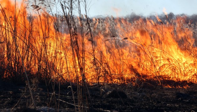 � �������������� ���� �������� ����� 4 000 ��. ������ ��������