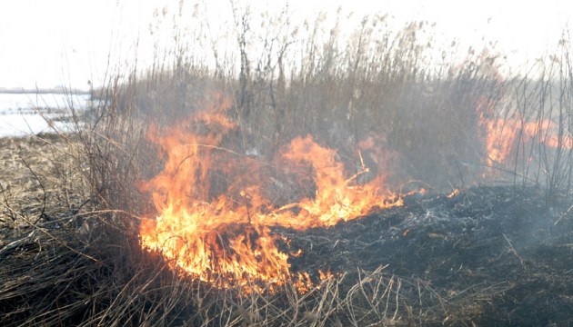 ����������� �������� � ������� ���� 147 ��� ������ �������