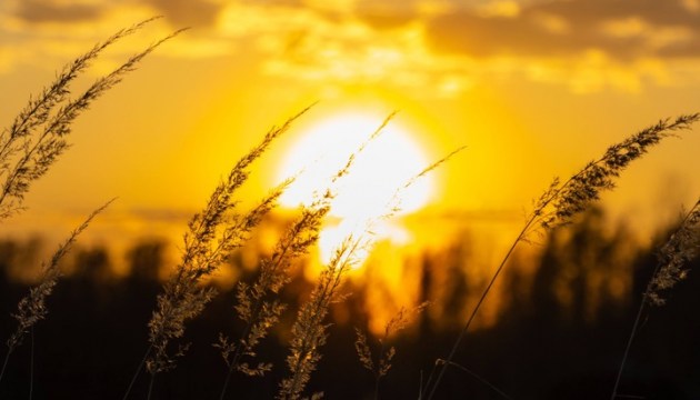 ������� ���� ������ ������� ����