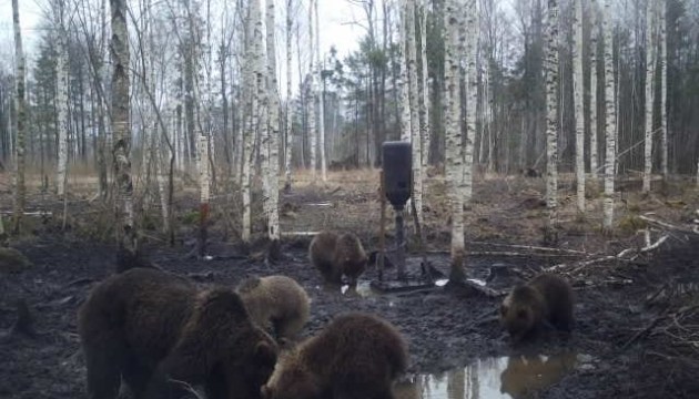 ����� ������ ������ ������� ����������� �� ����� (+�����)